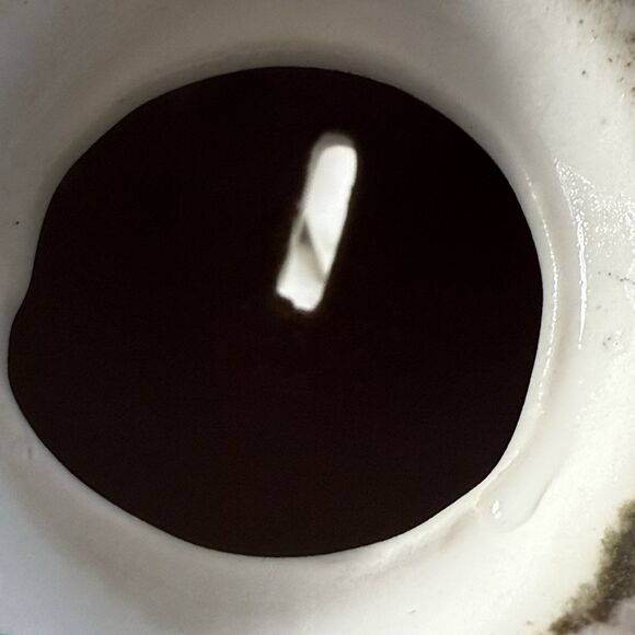 Vintage Princeton University Ivy League Alumni Piggy Bank Gold Detail - Picture 8 of 10